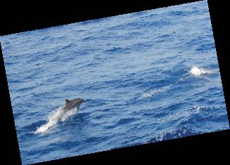 三沙旅游攻略:四大玩法推荐