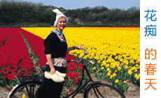 ��ı�������ա��Ĵ���