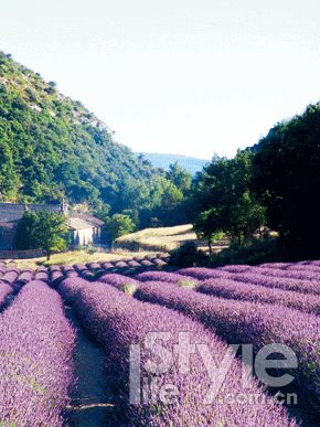 ���Ͽ��޵�Ժǰ��޹�²ݿ������ޡ�