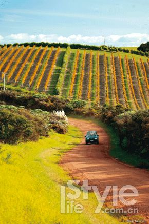 ������԰����ʻ�����껪���Ĵ�����