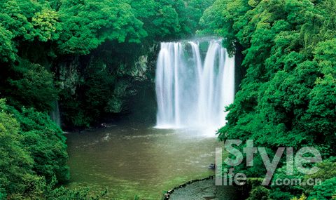 ���Դ�ٲ�����ֱ�¡�