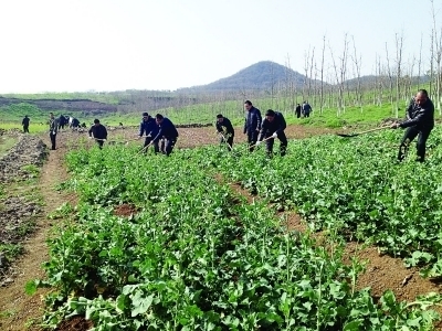 ������ɽ���½���&ldquo;����С��&rdquo;