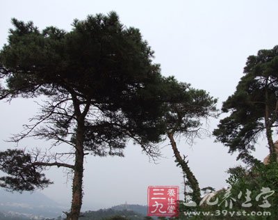 南京康辉国际旅行社公司