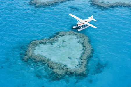 �������˽� ��ʿ�������������Ƽ�