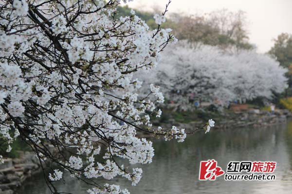 ӣ������