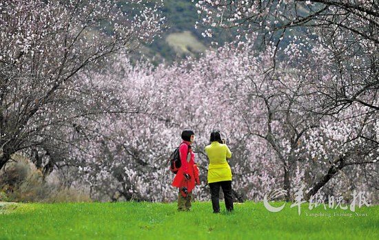 节后淡季海内游价最高降六成出境游最高降四成