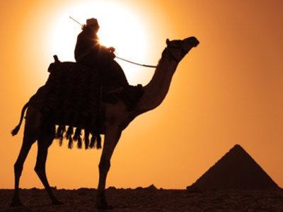 185837_184743711563094_107312412639558_371024_4723145_n