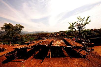 С���ٳ���ȥ��Ʒ�����򶹸� ���������ɾ�