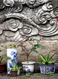 С���ٳ���ȥ��Ʒ�����򶹸� ���������ɾ�