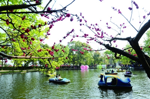 �����ǡ�����������ת������