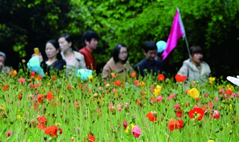 �����ǡ�����������ת������