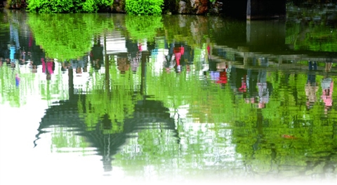 �ձ����� ���̺�/�� ����΢/��